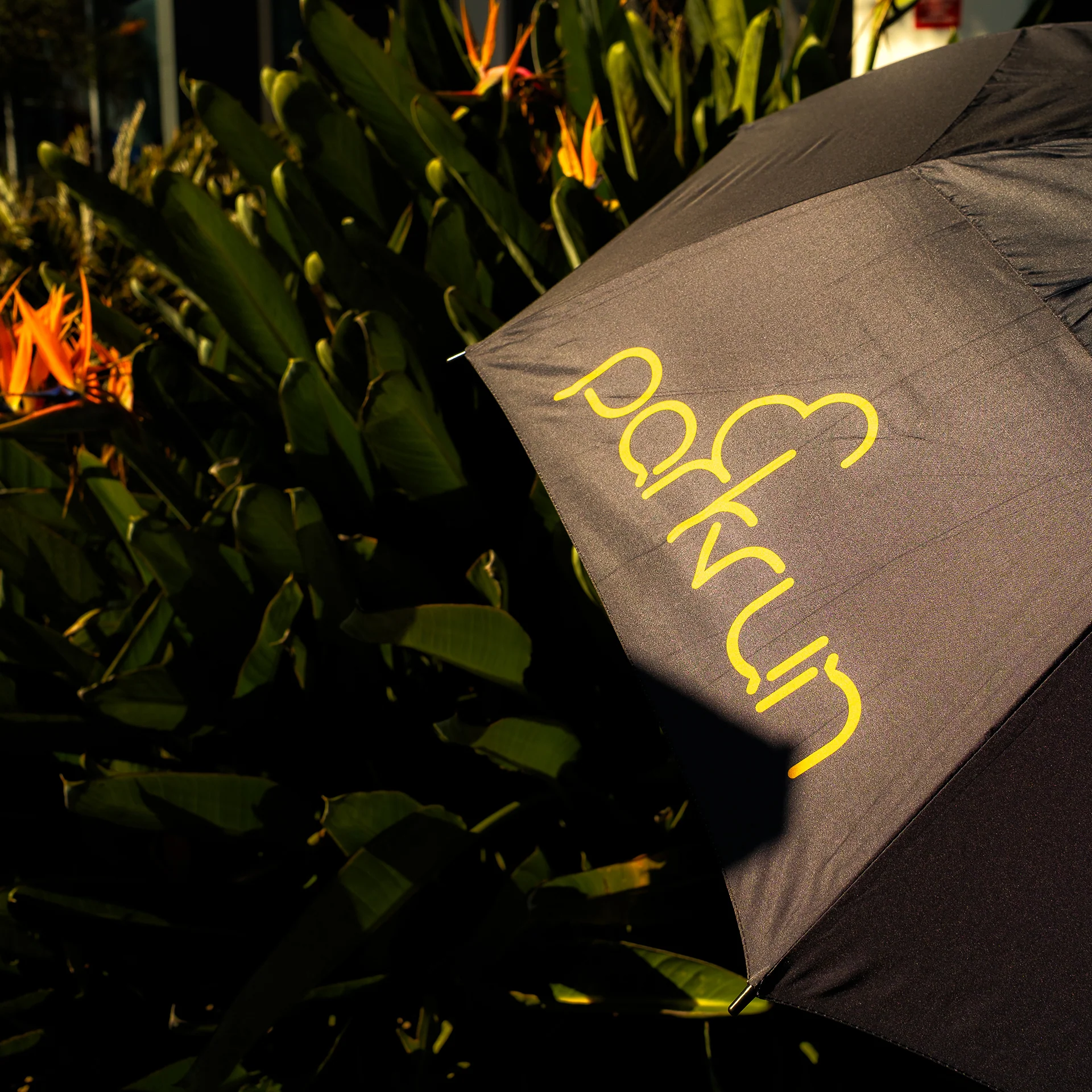 parkrun Umbrella - Image 5